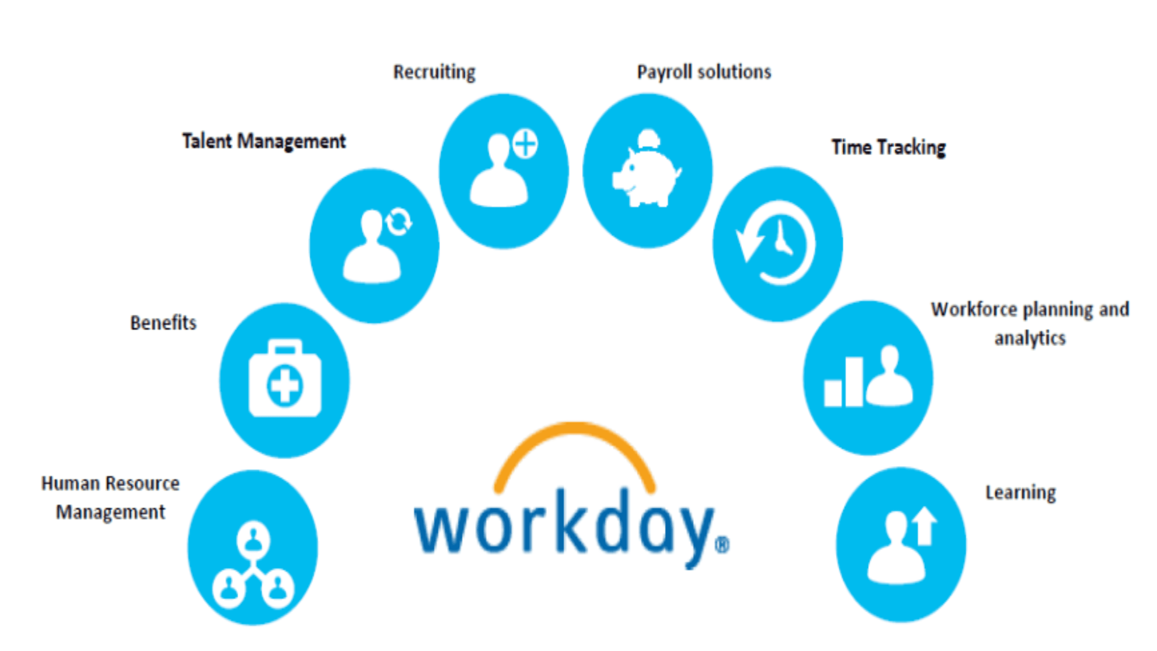 Workday