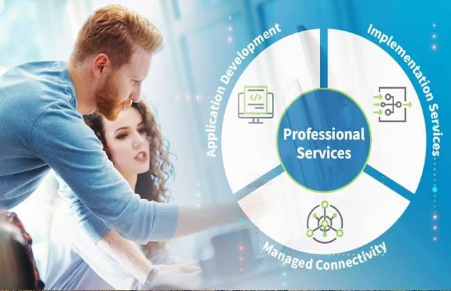 professional services