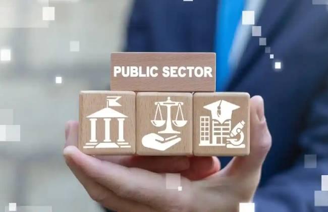 public sector